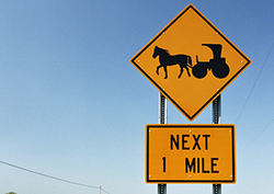 Factpack: Horsepower Instructional Video