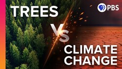 If We Plant 1 TRILLION Trees Can We Stop Climate Change? Instructional Video
