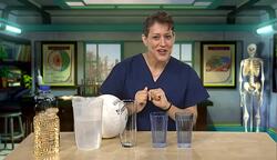 Qualities of Solids, Liquids, and Gases Instructional Video