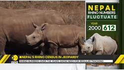 Nepal's Rhino census stalled as USAID funding runs dry News Clip