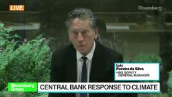 Climate Risks Are Part of Systemic Risks: BIS News Clip