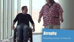 HST-AP Introduction to the Muscular System Instructional Video