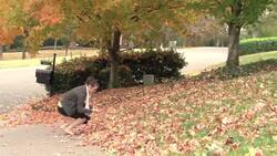 How to Make House Decorations from Autumn Leaves Instructional Video