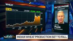 Wheat Soars as India Restricts Exports News Clip