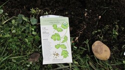 Direct Seeding in the Garden For Early Season Vegetables Instructional Video
