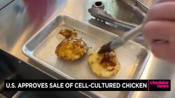 U.S. Approves Sale of Cell-Cultured Chicken News Clip