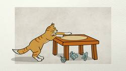 10 preguntas sobre los GATOS Instructional Video