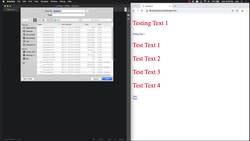 HTML CSS and JavaScript for Beginners - A Web Design Course - Creating and Using CSS File Instructional Video