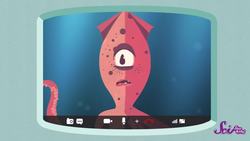 How People (And Squids) Measure Things Instructional Video