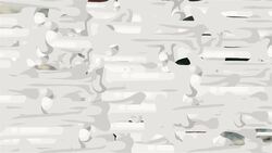 I WONDER - How Many Bones Are In The Foot? Instructional Video