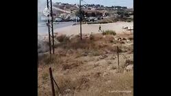 Jordanian security forces fire tear gas at pro-Palestinian protesters News Clip