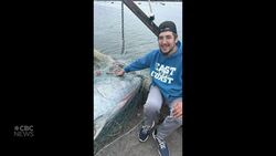 #TheMoment New Brunswick fishermen caught a 700-pound tuna News Clip