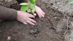 Exploring Natural Resources: Nonrenewable Resources Instructional Video