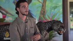 Brazil election: Environment neglected in presidential campaigns News Clip