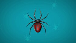 I WONDER - Is A Spider An Insect? Me Pregunto - Son Las Arañas Insectos? Instructional Video