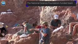 This newly discovered dinosaur wears its heart on its...tail! Instructional Video