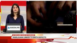 Police Calls For Cannabis Upgrade From Class B To Class A Drug News Clip