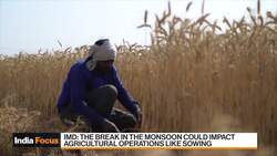 India's Monsoon Delay Likely to Hit Crop Output News Clip
