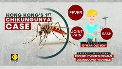 Hong Kong Confirms First Imported Case of Chikungunya Fever Amid Mainland China Outbreak News Clip