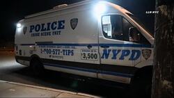 NYPD: 30-year-old man fatally beaten in Throgs Neck News Clip