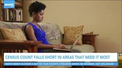 Census Count Falls Short In Areas That Need It Most News Clip
