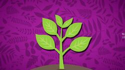 I WONDER - Are All Parts Of A Poisonous Plant Dangerous? Instructional Video