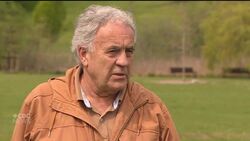 B.C. has small population of giant ‘murder hornets’ News Clip