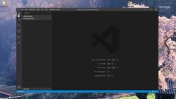 the Python extension for Microsoft Visual Studio Code Instructional Video