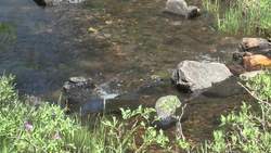 Water Smart: The Sun, Water Cycle, & Climate - Evaporation Instructional Video