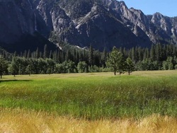 Impacto en la tierra: contaminación Instructional Video