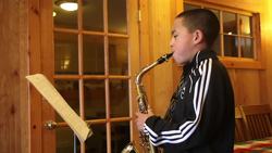 Plant Structures: Introduction (Plant Structures) Instructional Video