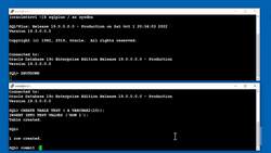 Oracle Database Administration from Zero to Hero - Practice - Starting Up and Shutting Down DB Instances Instructional Video