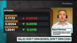 BlackRock’s Harrison Says, ‘I Still Want to Be Risk On’ News Clip