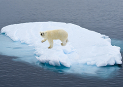 State of the Greenland Ice Sheet Instructional Video