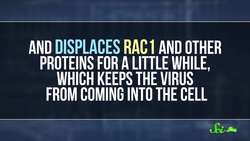 Antimicrobials Inspired by Animals Instructional Video