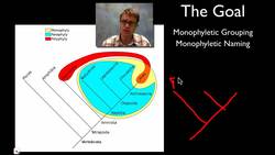 Classification of Life Instructional Video
