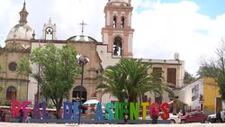 Real de Asientos Stock Footage