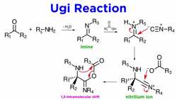 Ugi Reaction Instructional Video