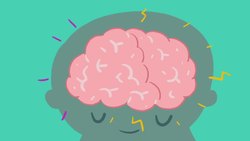 Left Brain Right Brain is a MYTH Instructional Video