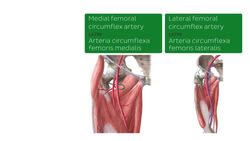 Cervical spine Instructional Video