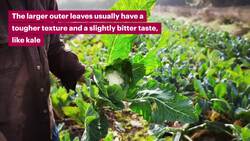 5 ways to use up cauliflower leaves Instructional Video