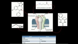 GABA Biosynthesis and Catabolism Instructional Video