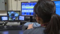 Canine cancer treatment News Clip