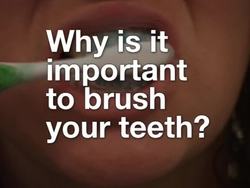 Healthy Habits: Staying Well Instructional Video