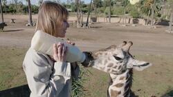 Quality Time With a Giraffe Nursery Group Instructional Video