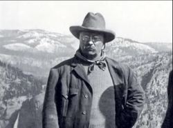 Emergence Of Modern America: The Progressive Era - The Progressive Party Instructional Video