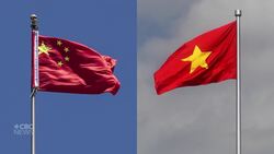 Some furniture prices quadruple after new import tariffs News Clip