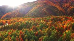 Autumn's Aerial Splendor: Drone Captures the Majesty of Fall Stock Footage
