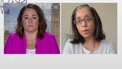 Canadian physician treating COVID-19 patients in India remotely News Clip