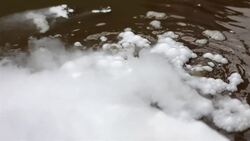 I WONDER - What Are The Stages In The Water Cycle? Instructional Video